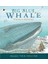 Big Blue Whale 1