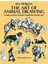 The Art Of Animal Drawing: Construction, Action, Analysis, Caricature 1