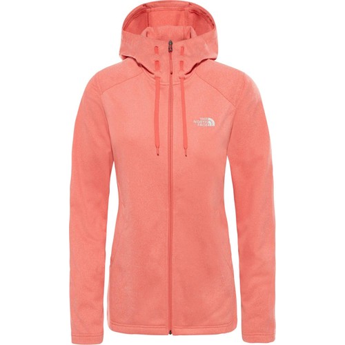 the north face tech hoodie