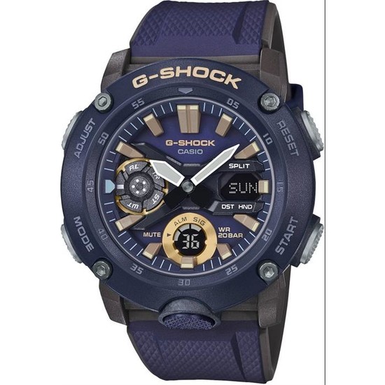 casiqit price