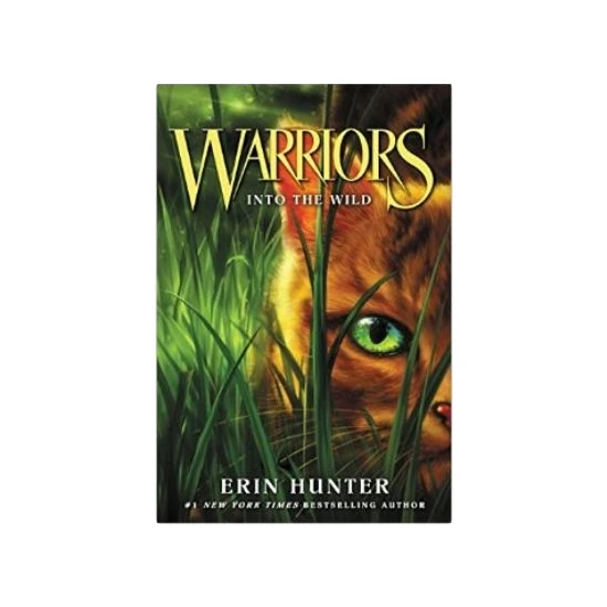Warriors 1: Into The Wild