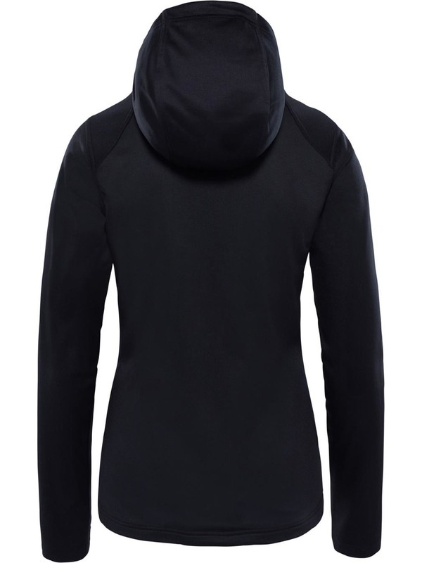 the north face tech hoodie