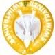  Renk Sarı