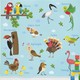 Color Casa  Birds Names Kuş Adları İngilizce Montessori Sticker