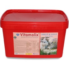 Royal Ilaç Vitamolix Sheep & Goat 22.5 kg Koyun & Keçi Yalama Kovaları