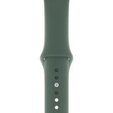 Desingshop Apple Watch 2 3 4 5 6 7 Se Uyumlu 38-40 mm  A+ Kaliteli Silikon Kordon Haki