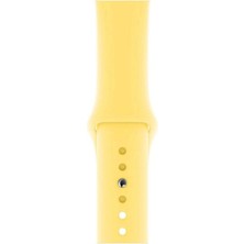 Desingshop Apple Watch 2 3 4 5 6 7 Se Uyumlu 38-40 mm  A+ Kaliteli Silikon Kordon Sarı Renk