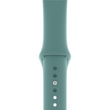 Desingshop Apple Watch 2 3 4 5 6 7 Se Uyumlu 42-44 mm  A+ Kaliteli Silikon Kordon