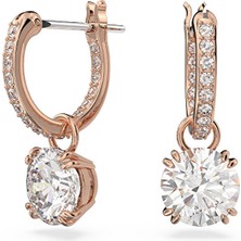 Swarovski SWR5639975 Kadın Küpe