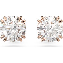 Swarovski SWR5638801 Kadın Küpe