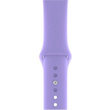 Desingshop Apple Watch 2 3 4 5 6 7 Se Uyumlu 38-40 mm  A+ Kaliteli Silikon Kordon Lila