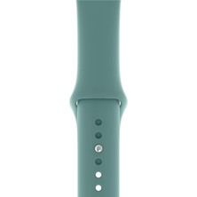 Desingshop Apple Watch 2 3 4 5 6 7 Se Uyumlu 38-40 mm  A+ Kaliteli Silikon Kordon