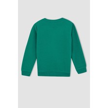 DeFacto Erkek Çocuk Okula Dönüş Bisiklet Yaka Sweatshirt L0311A622AU