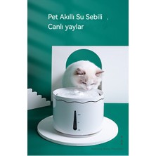 5ieasylife Clover Şekil Tasarımı Kedi Su Pınarı (Yurt Dışından)