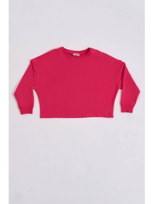 RECOLOR Uzun Kollu Kadın Crop Sweatshirt - Pembe Pembe - Xs