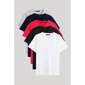 Metalıc  Erkek Çok Renkli T- Shirt Regular Fit Rahat Kesim V Yaka 5'li Basic Tişört Paketi