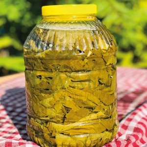 Plastik Pet Kavanoz 5 lt