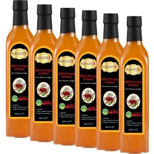 Hanzade Bitkisel İçilebilir Katkısız Cam Şişe Dört Hırsız Sirkesi 6 x 500 ml