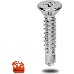 Alet Çantam  Matkap Uçlu Vida Akıllı Apex Vidası 3.9X16 - 100 Adet