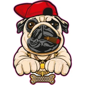 75 X 100 Mm Sticker 10 Lu