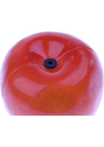 Perküsyon Müzik Aleti (Yurt Dışından) modelleri