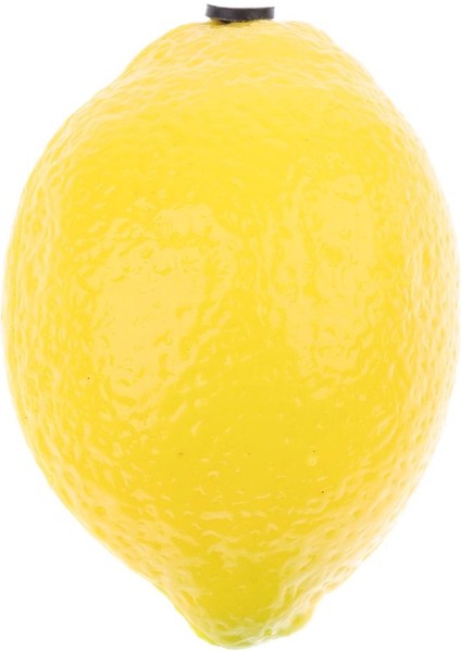 Perküsyon Müzik Aleti (Yurt Dışından) fırsatları