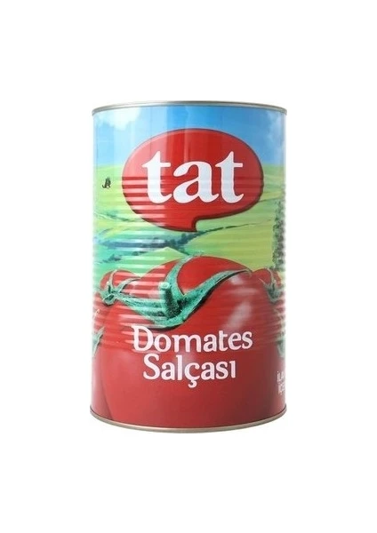 Domates Salçası 4300 gr