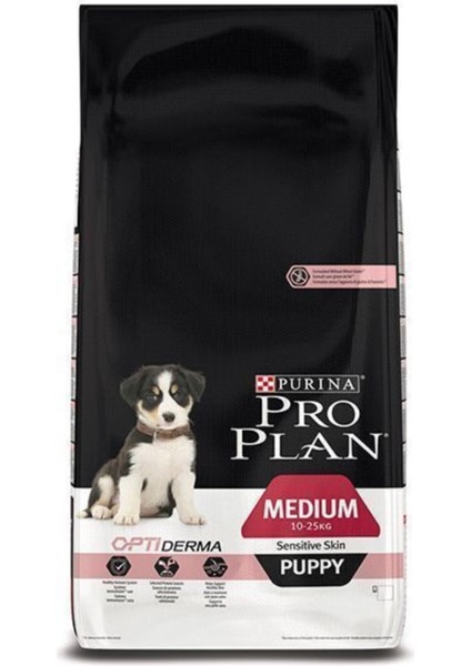 Puppy Sensitive Somonlu Hassas Yavru Köpek Mamasi 12 kg