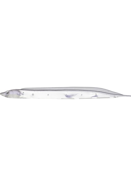 Fish Arrow Flash J Shirasu 7.5cm Sw #146 Keimura Clear Silver Sahte Balık