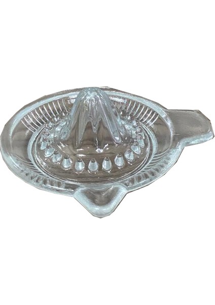 Cam Limon Sıkacağı fırsatları