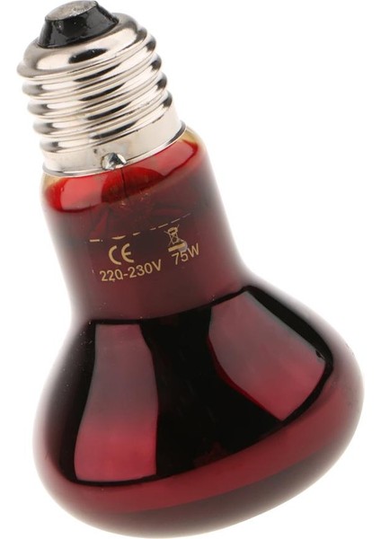 Gece Görünümü Sürüngen Gece Lambası 75W (Yurt Dışından) indirimleri