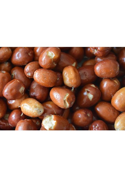 4 Yaş İğde Fidanı