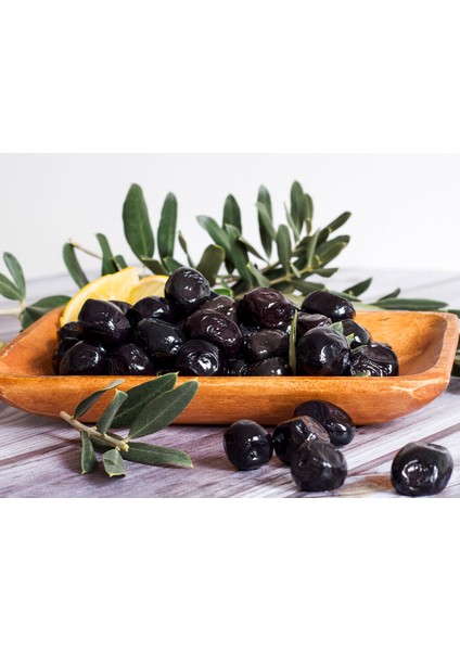 10 Adet Gemlik Zeytin Fidan Paketi-2 Yaş
