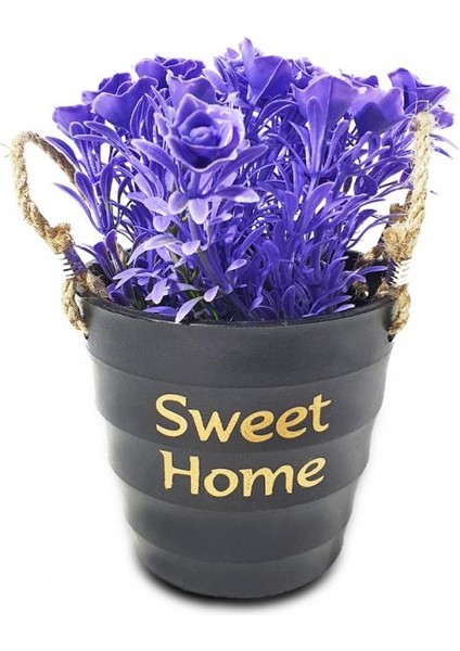 Sweet Home Yuvarlak Kovalı Hasır Kulplu Saksıda Çiçek fırsatları