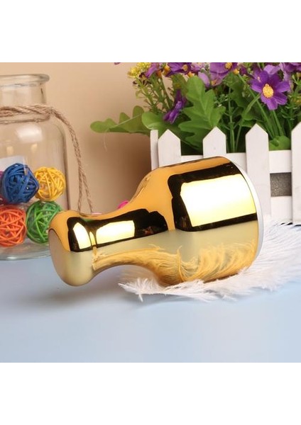 Yüz Göz Buz Iyon Cihazı (Altın) (Yurt Dışından) fiyatları