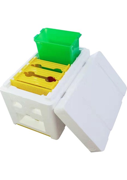 Yescolor Arı Tozlaşma Kutusu (Yurt Dışından)
