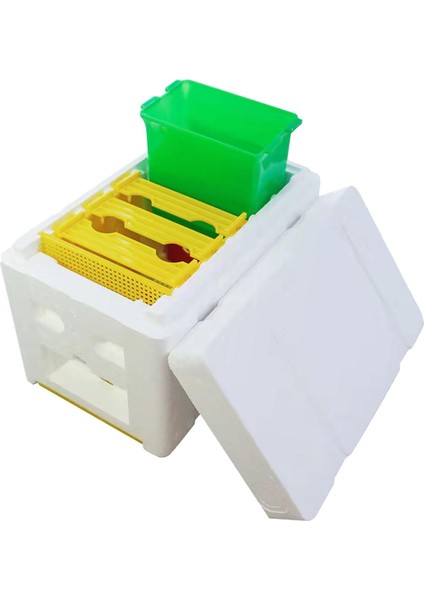 Yescolor Arı Tozlaşma Kutusu (Yurt Dışından)