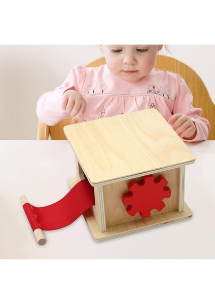 Motor Becerileri Için Aydınlanma - Ahşap(Yurt Dışından)