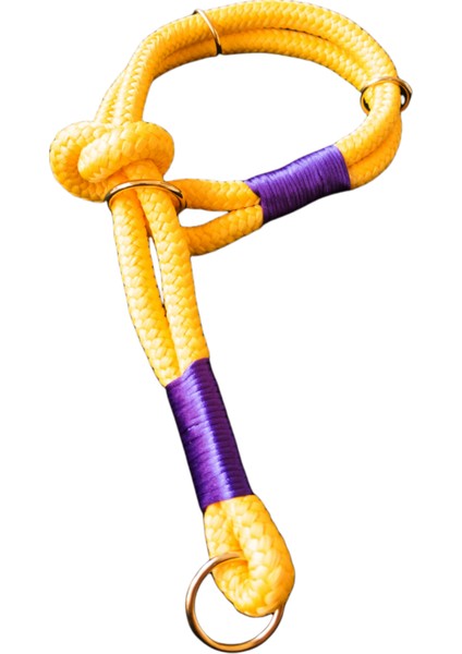Köpek boyun tasması halat sarı kıstırmalı kalınlık:12mm boyun ölçüsü:20-47cm ayarlamalı dog collar T2-9 fiyatları