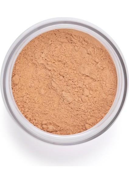 Perfect Finish Loose Powder fiyatları