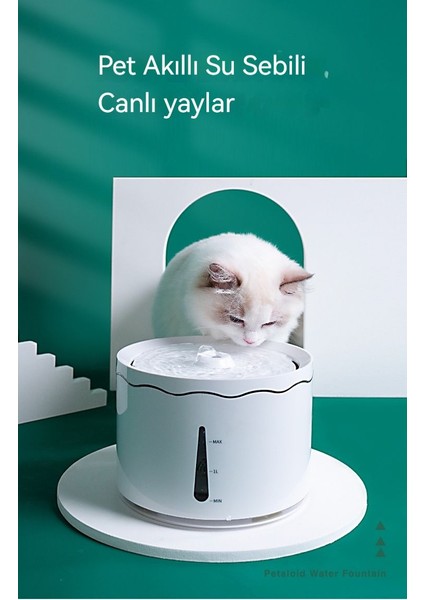 Clover Şekil Tasarımı Kedi Su Pınarı (Yurt Dışından)