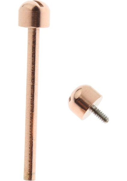 Izle Vida Bağlantı Gül Altın Vida Tüpü Için Farklı Boyutu Izle Tamir 18MM