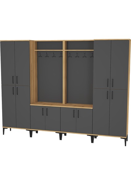 Rose-1-1-4-4 Portmanto Vestiyer Ayakkabılık RS06 fiyatları