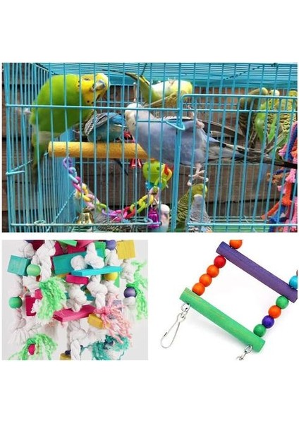 3 Paketler Papağan Oyuncaklar ve Kuş Aksesuarları Kuş Pet Renkli Kombinasyon Kuş Oyuncakları Için Çok Renkli Merdiven Parakeet Budgie Kafes | Kuş Oyuncakları fırsatları
