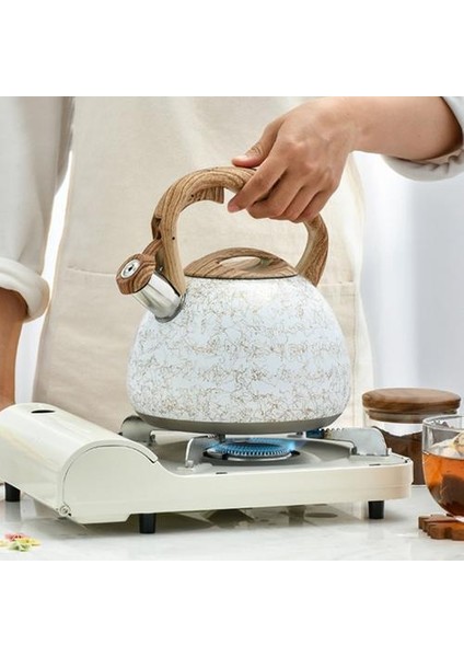 Paslanmaz Çelik Islık Çay Su Isıtıcısı Emaye Gıda Sınıfı Çay Potu Gaz Indüksiyonlu Ocaklar Isıya Dayanıklı Kolu ile | Su Isıtıcılar modelleri