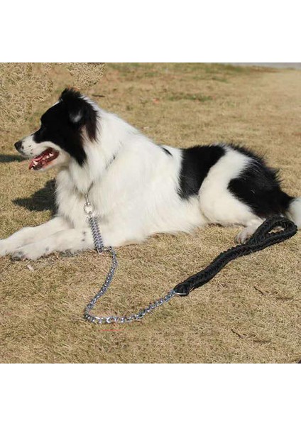 130 cm Süper Güçlü Naylon Köpek Tasma Ordu Yeşil Tuval Çift Sıra Ayarlanabilir Köpek Yaka Orta Büyük Köpekler Için Bahar Tampon | Tasmalar (Siyah)
