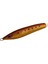 Sea Falcon Cast Jig 30GR Tr-05 Dark Gold Sardine 1