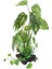 Sürüngen Teraryum Yaşam Kutusu Kaplumbağa Kaplumbağa Kertenkele Habitat Kafes Dekor Bitki 22 cm (Yurt Dışından) 4