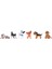 6pcs Minyatür Pet Puppy Figürleri Reçine Craft- 1/12 Dollhouse(Yurt Dışından) 3