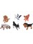 6pcs Minyatür Pet Puppy Figürleri Reçine Craft- 1/12 Dollhouse(Yurt Dışından) 4